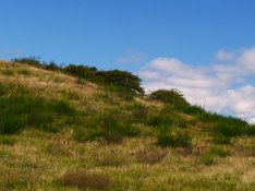 Hiddensee