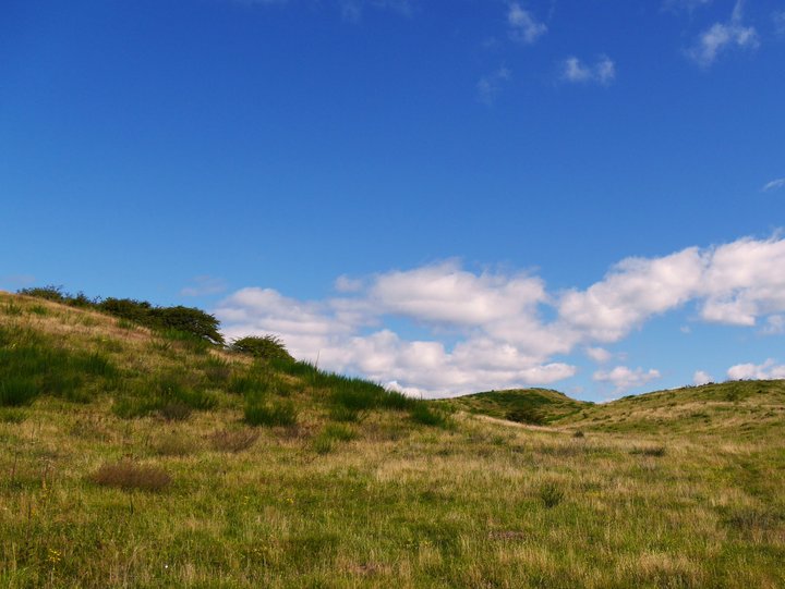 Hiddensee